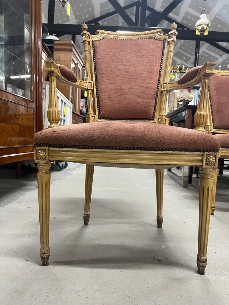 Set of 2 armchairs & 4 velvet chairs