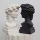David head in white plaster