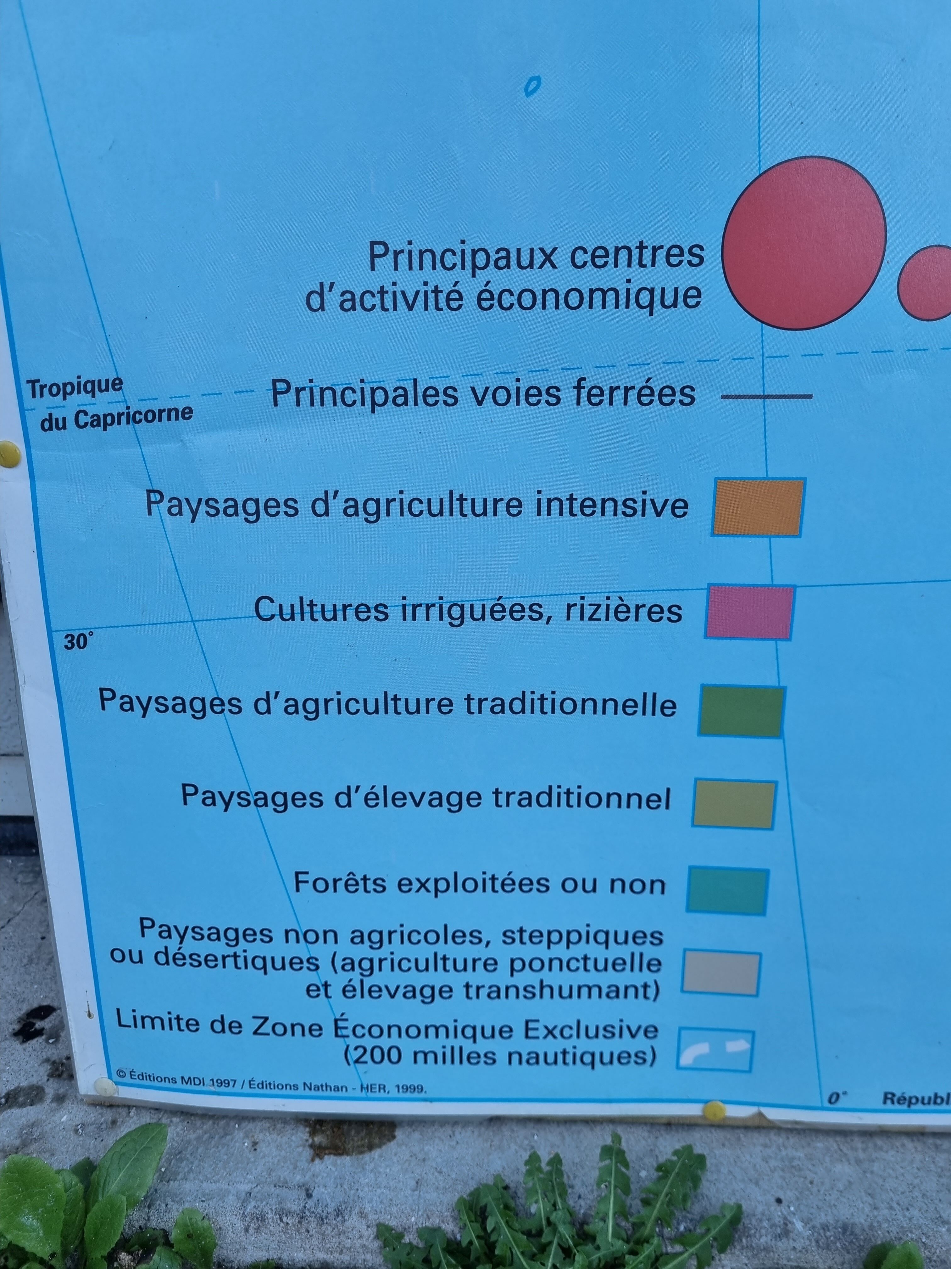 Map of Africa, Nathan 1980