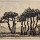 Old engraving, Biarritz, the 20th century love bedroom