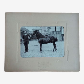 Photographie 1900 homme et cheval A. Rebut rue Turgot à Paris