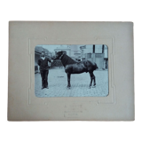 Photograph 1900 man and horse A. Rebut rue Turgot in Paris
