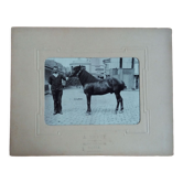 Photograph 1900 man and horse A. Rebut rue Turgot in Paris