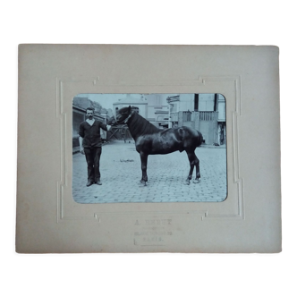 Photographie 1900 homme et cheval A. Rebut rue Turgot à Paris