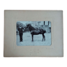Photograph 1900 man and horse A. Rebut rue Turgot in Paris