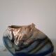 Art vase in raku pottery signed by Tony Evans.