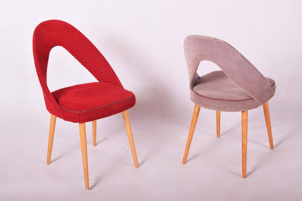 Chaises Mid-Century en hêtre, tchèque, années 1950, ensemble de 4