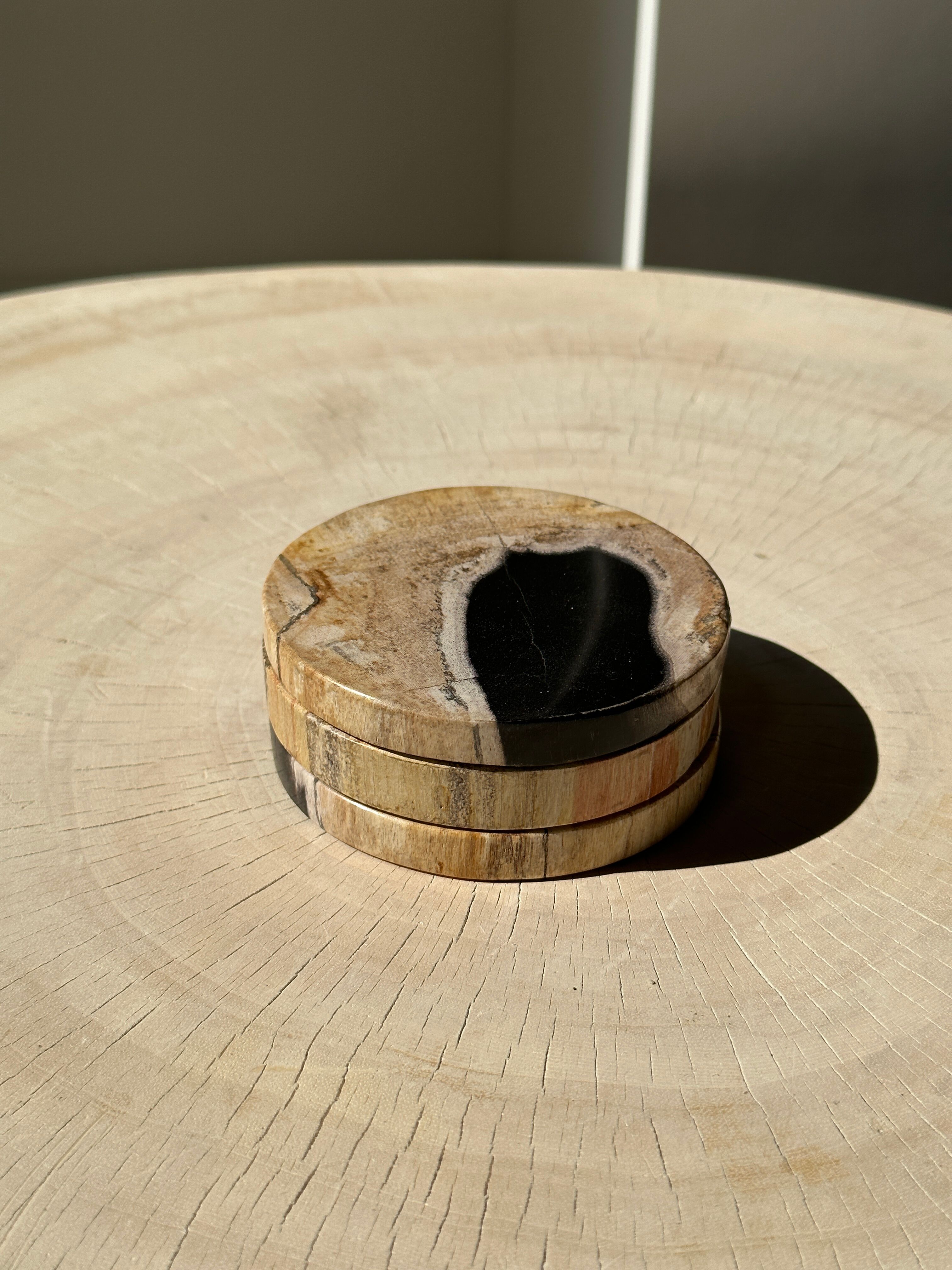 Set of 3 fossilized wooden coasters (clear)