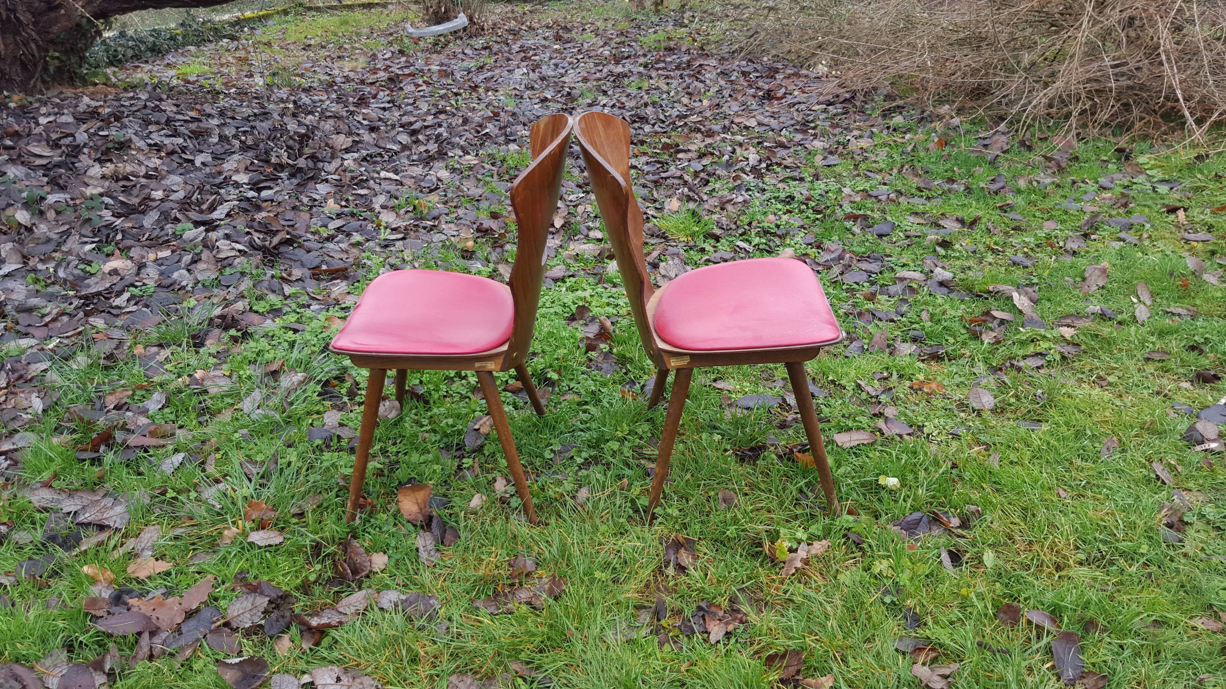 Pair of Baumann vintage Gentiane model chairs 60