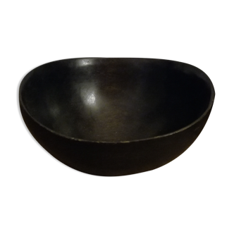 Exotic wooden bowl