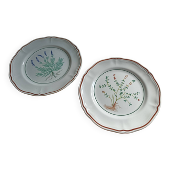 Set of 2 Longchamp plates with herbarium decor