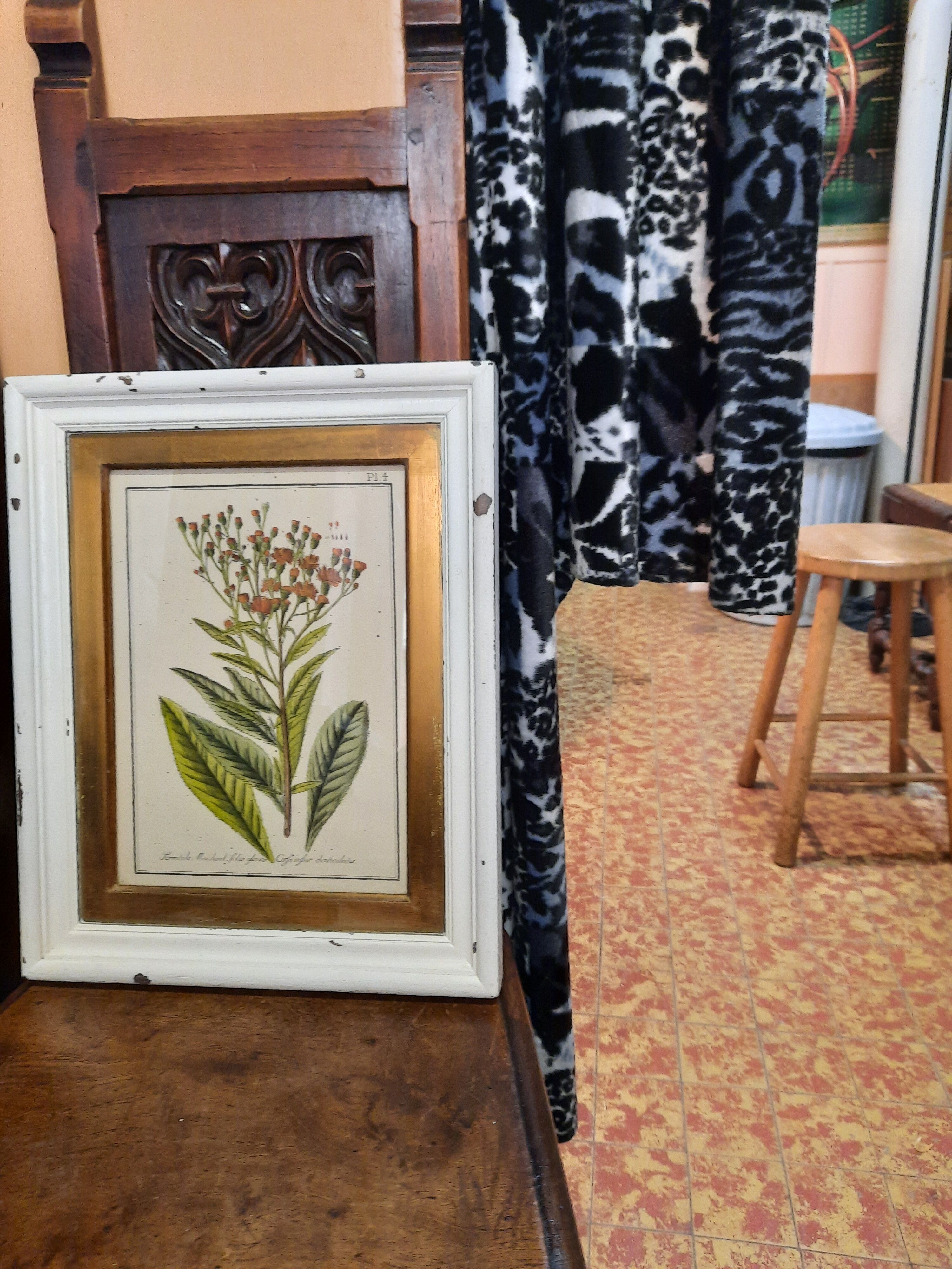 Botanical poster