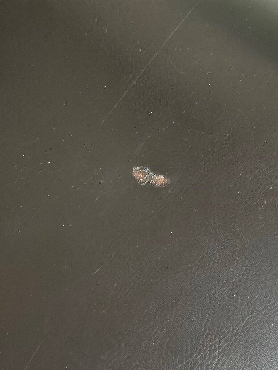 Napoleon III style bench in carved walnut, synthetic leather circa 1880