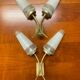 Pairs of brass sconces, ear-shaped tulips in opaline glass from the 1950s