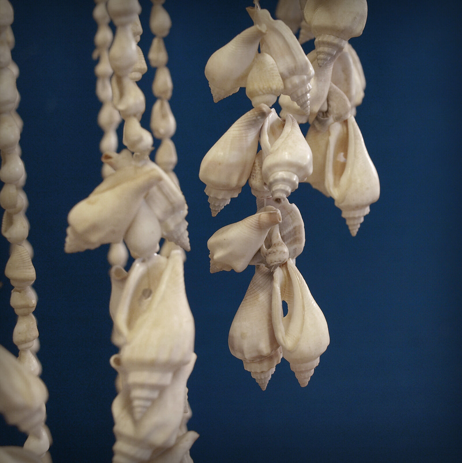 Balinese hanging lamp in curly shells