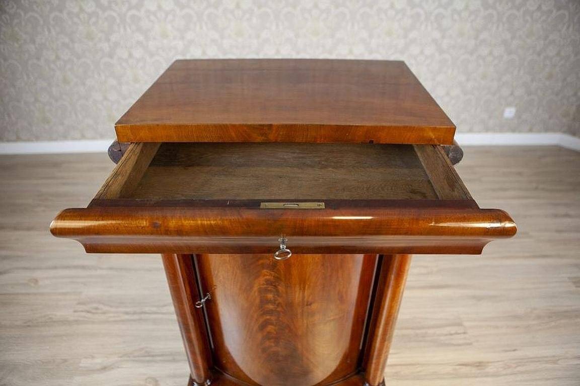 19th-Century Biedermeier Mahogany Wood and Veneer Linen Press