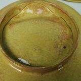 Asparagus plates Iron Earth