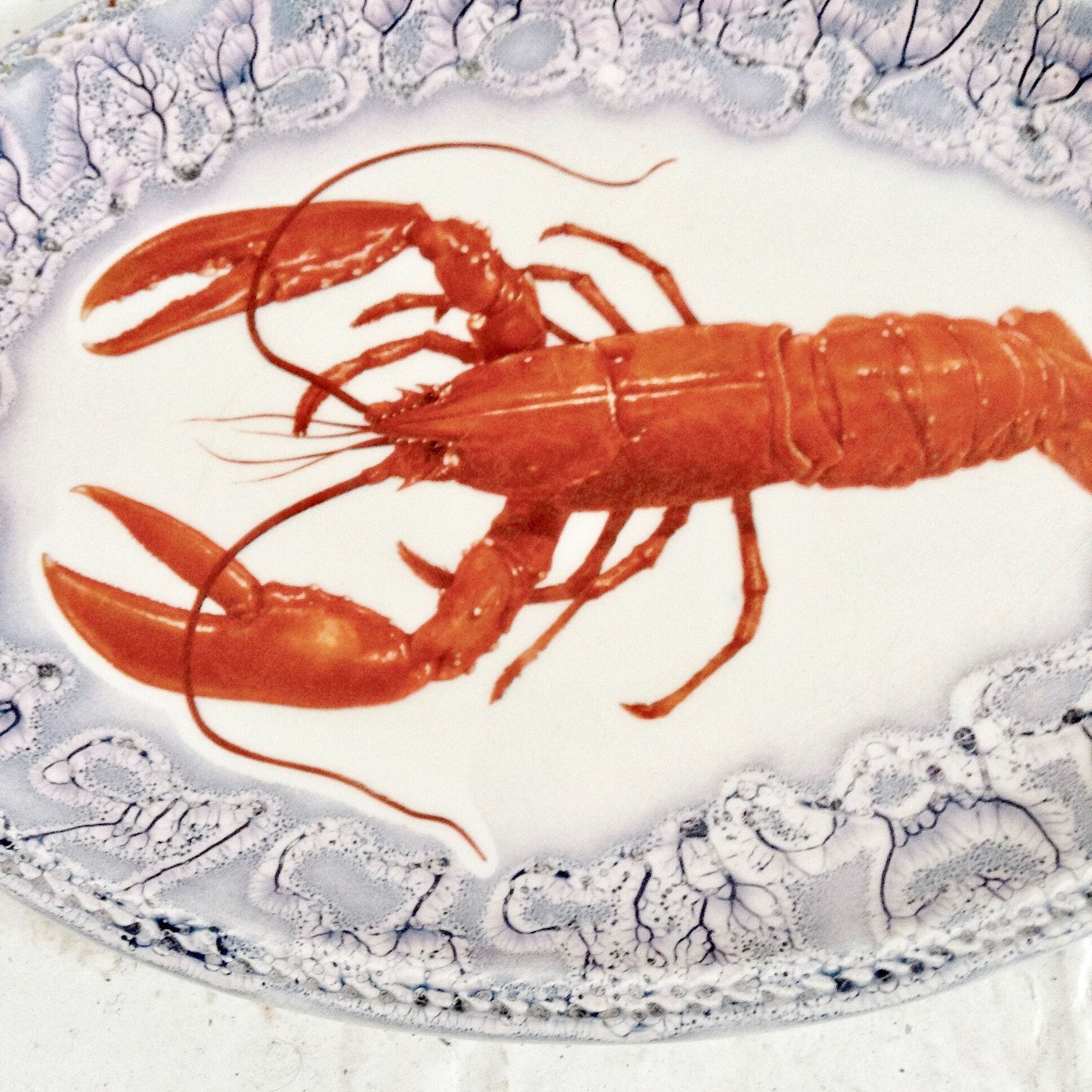 Dish ceramics lobster.