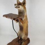 Stuffed Taxidermy Fox Stuffed