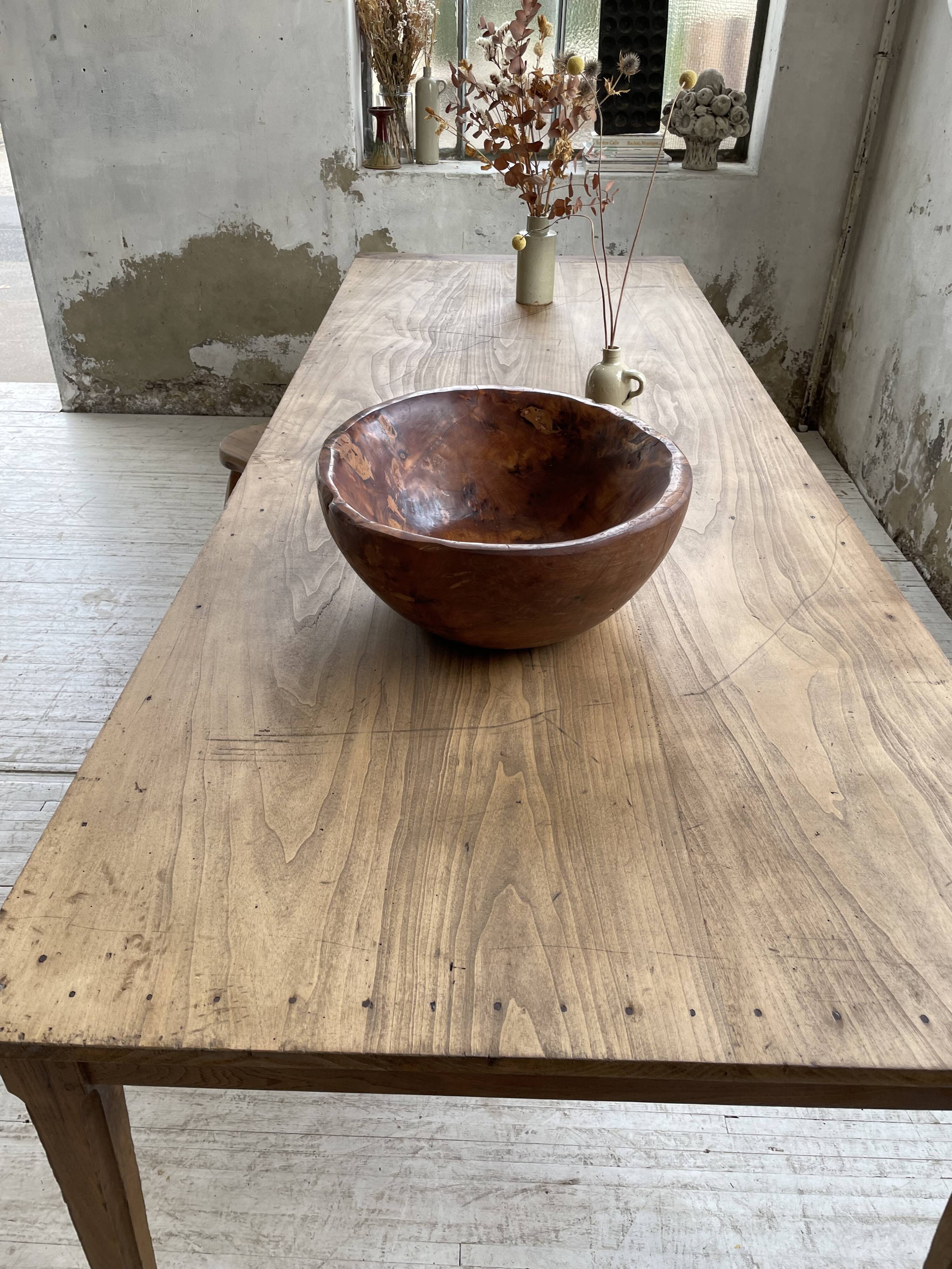 XL thuja root wooden dish