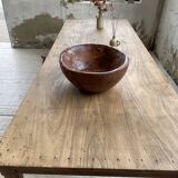 XL thuja root wooden dish