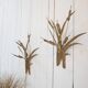 Vintage Brass Wall Lights, 1970s, Set of 2