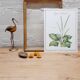 Botanical plate Grand Plantain