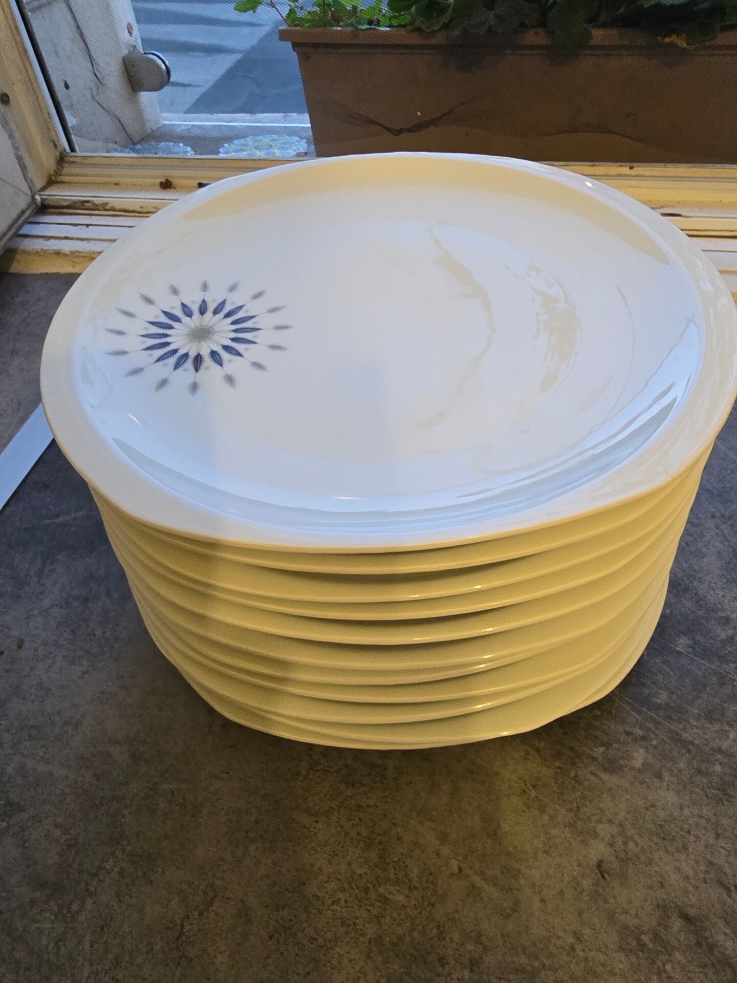 Porcelain plates