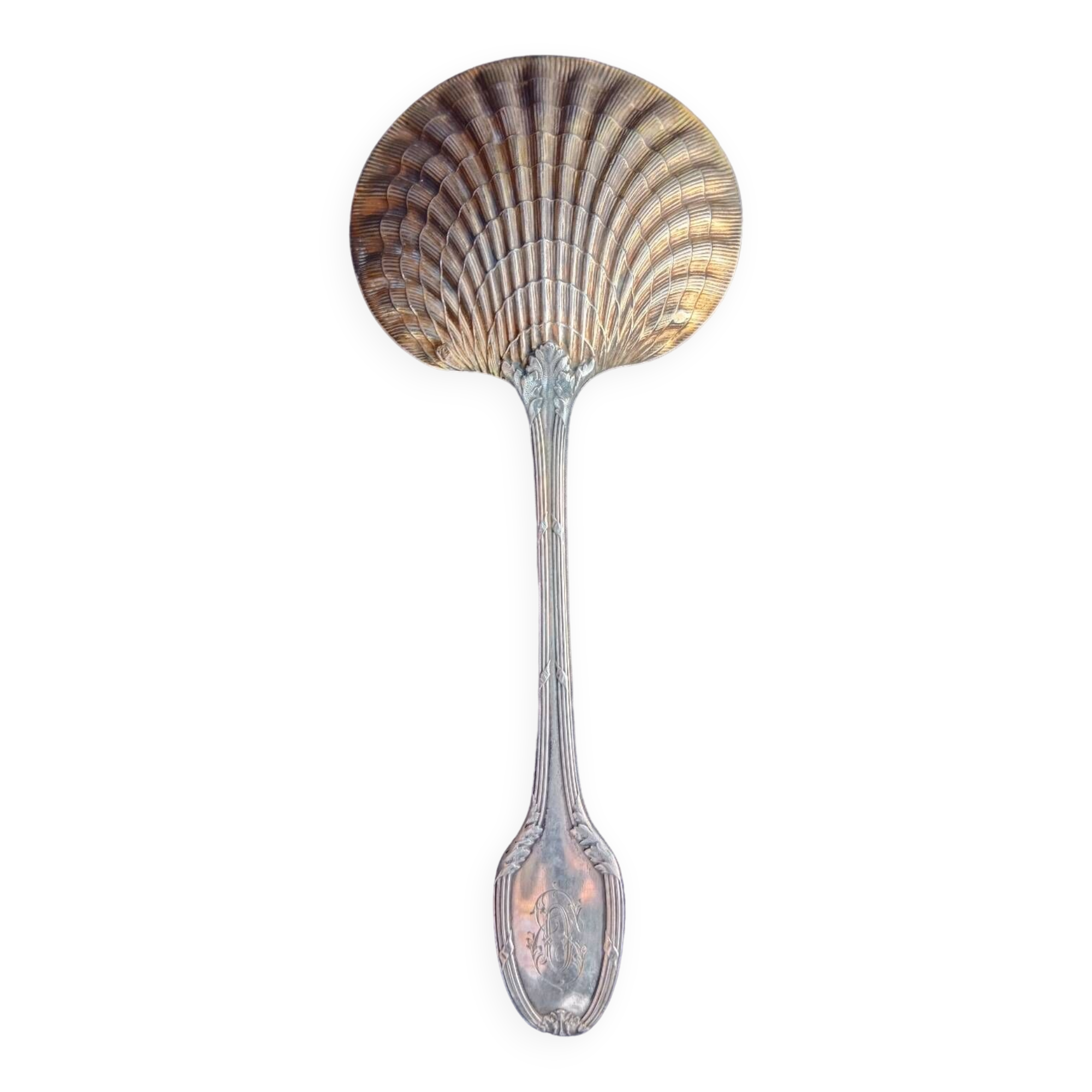 Strawberry shovel XIX.