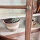 Renovated old wall display cabinet