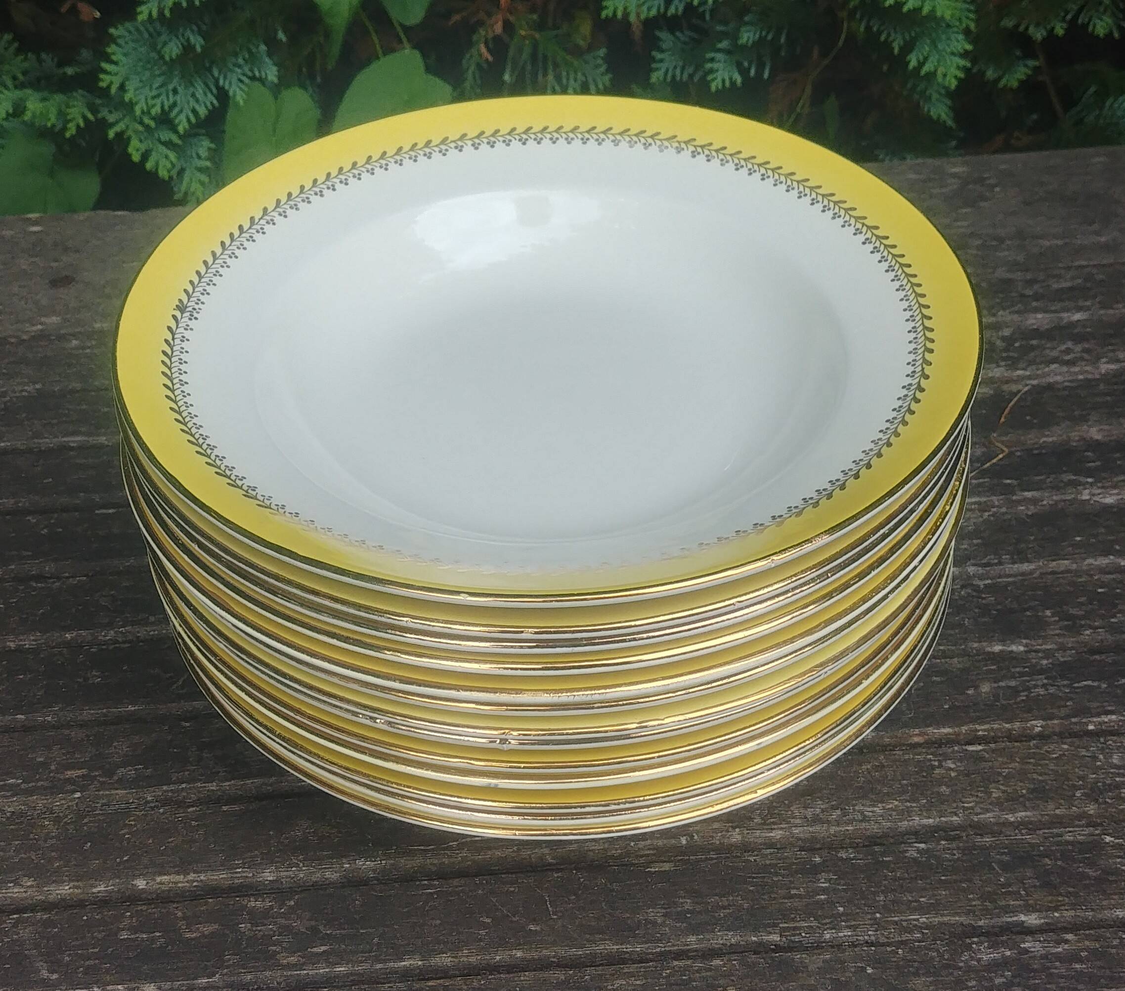 Set of thirteen old porcelain soup plates signed "Biarritz"