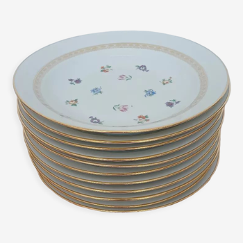 Hollow porcelain plates