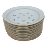 Hollow porcelain plates