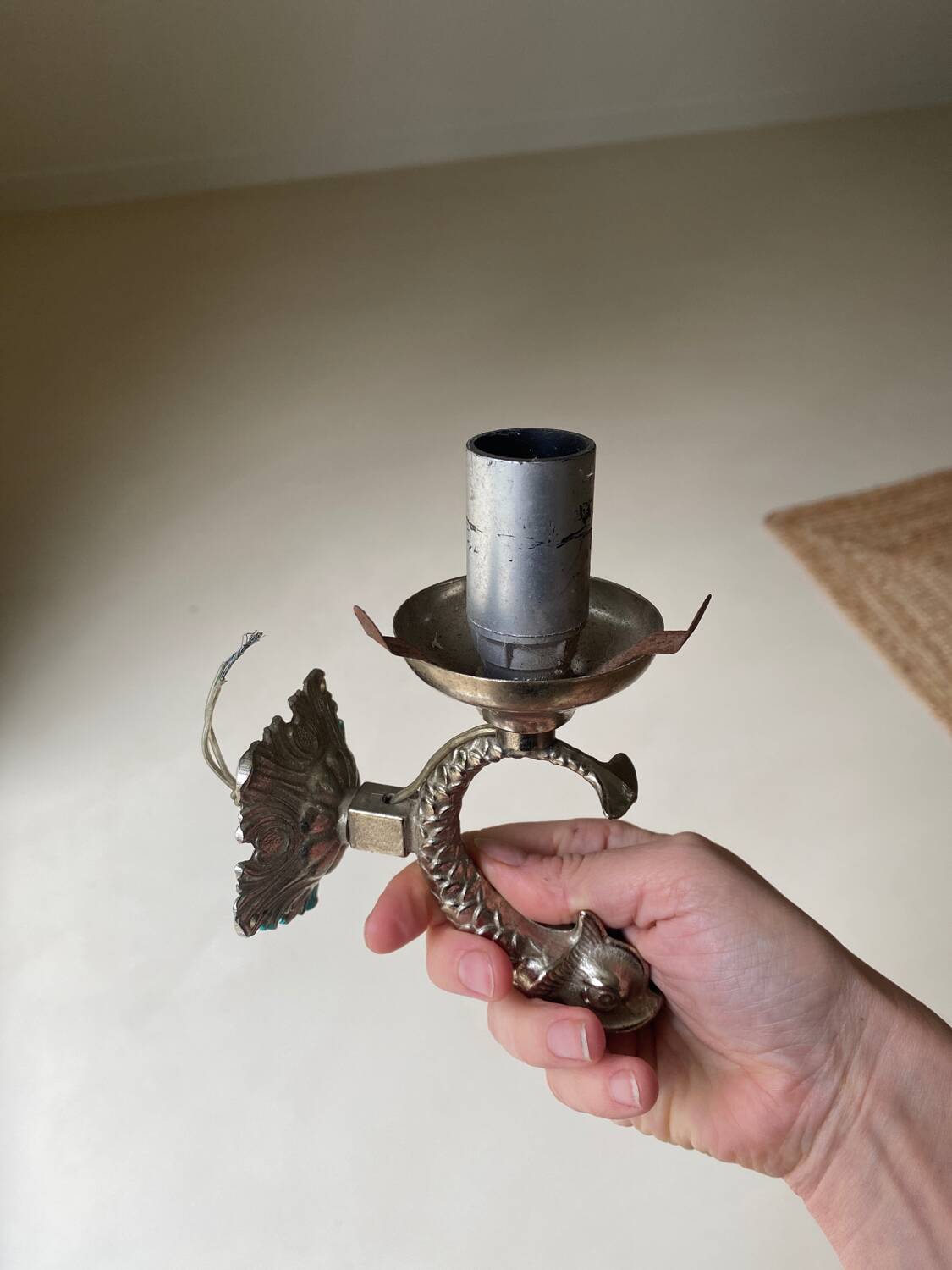 Fishhead globe wall lamp