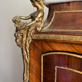 Ancient cabinet of curiosities