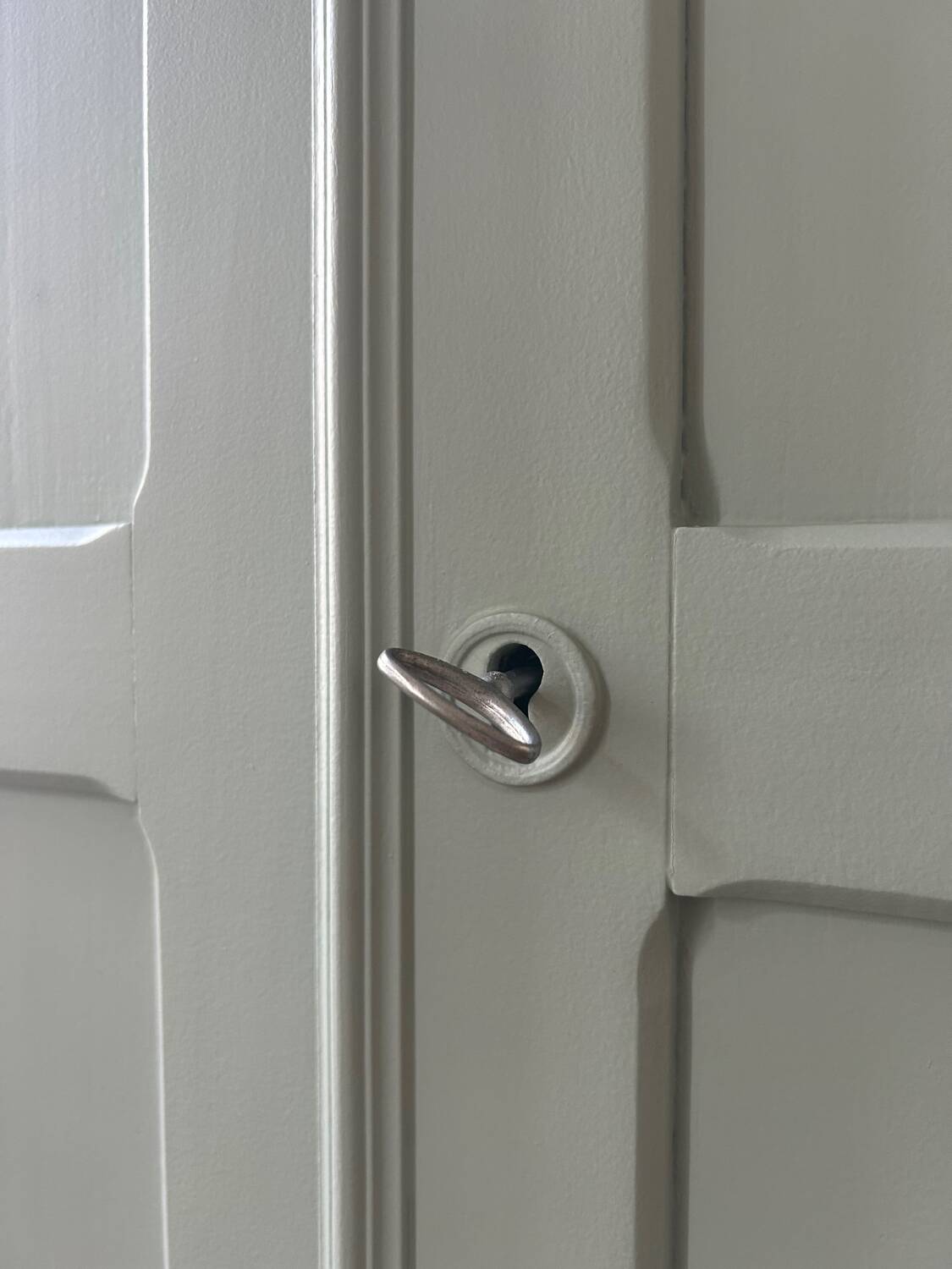 Renovated Parisian Wardrobe