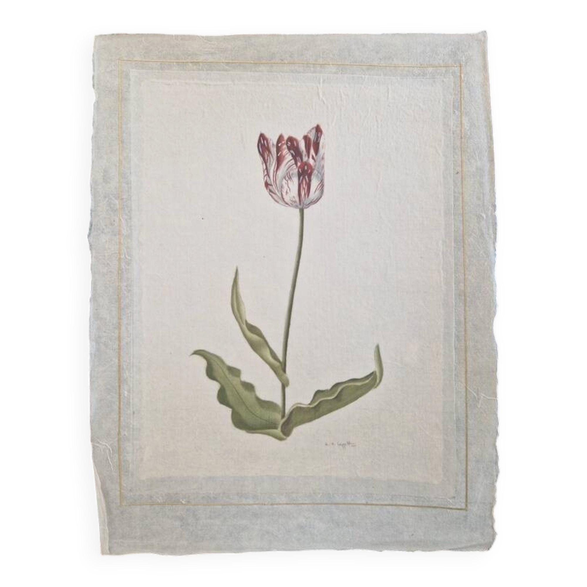 La Roche Laffitte (Born in 1943) - Watercolour drawing on silk - Tulip