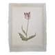 La Roche Laffitte (Born in 1943) - Watercolour drawing on silk - Tulip