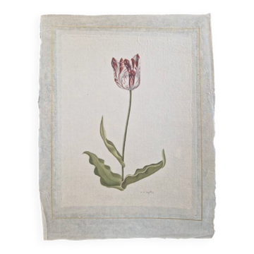La Roche Laffitte (Né en 1943) - Dessin à l'aquarelle sur soie - Tulipe