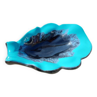 Dish