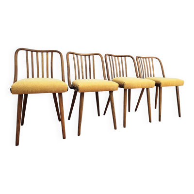 Chaises de salle à manger attribuées à A. Suman pour Tatra Nabytok, Tchécoslovaquie, 196