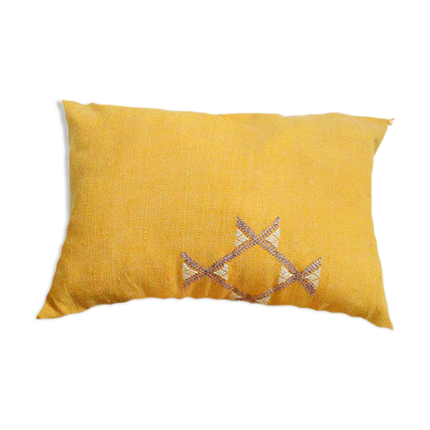 Moroccan cactus silk pillow