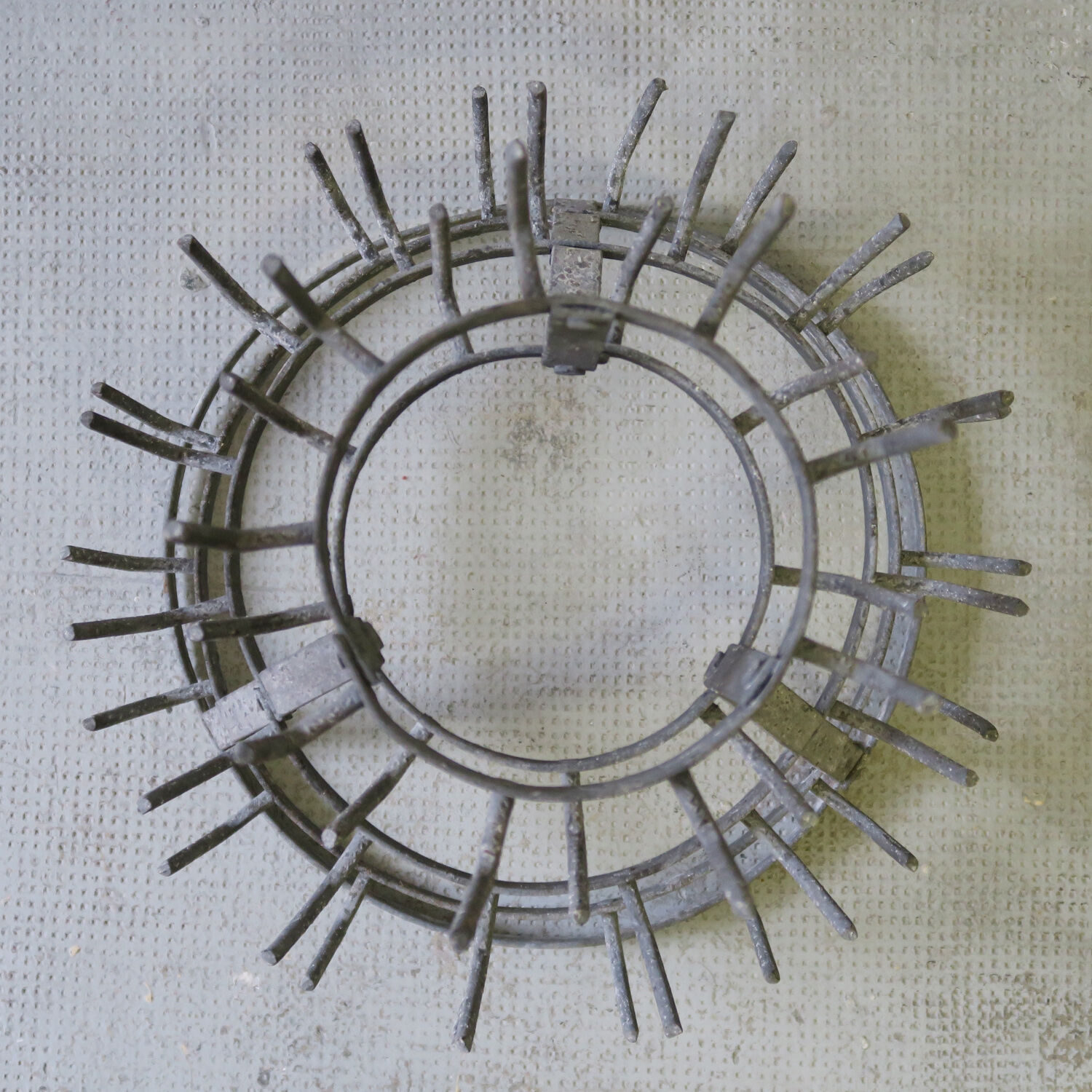 Dry bottle says hedgehog