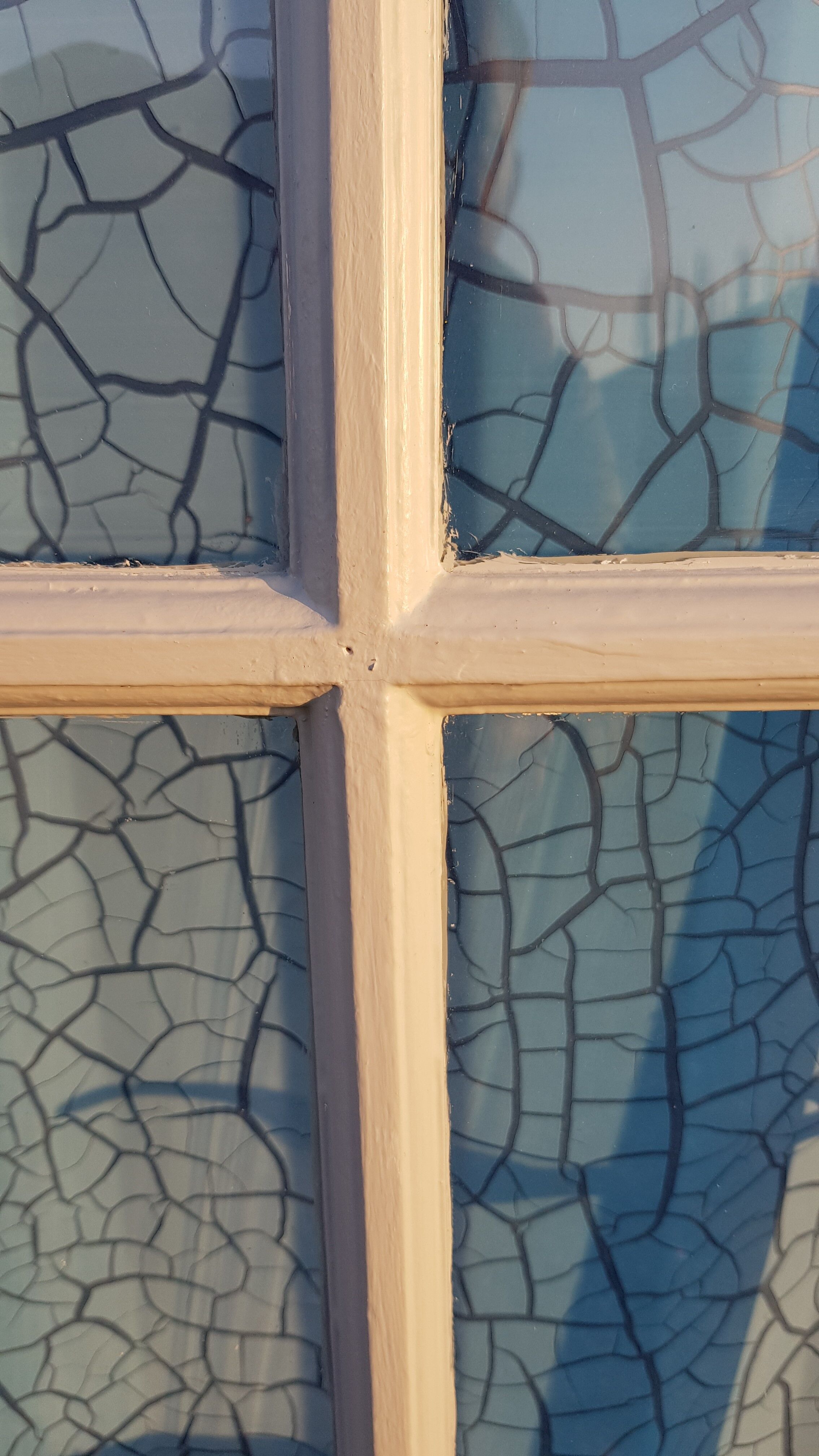 Lot of a double oak glass door