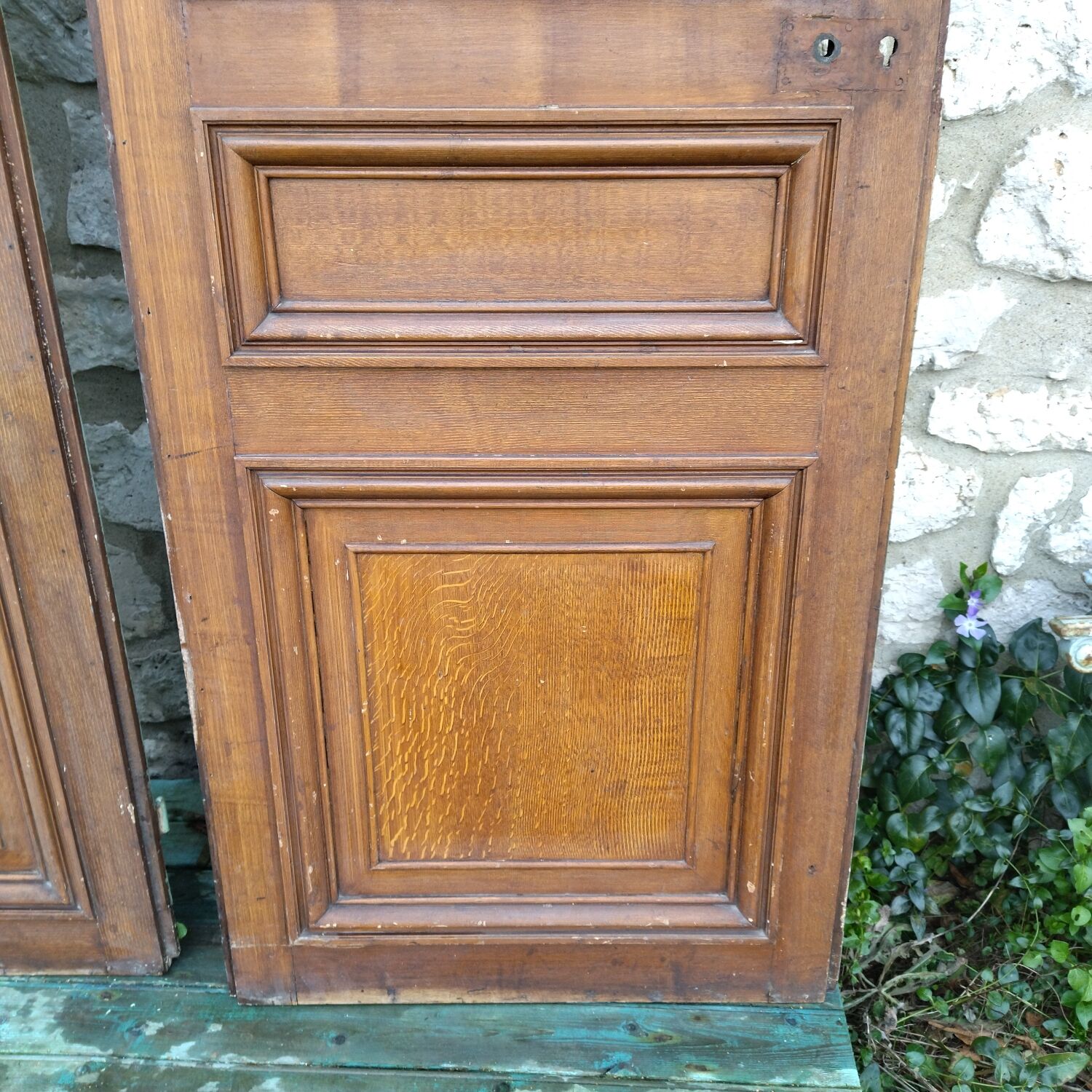 Pair of 19th century Haussmanian apartment doors