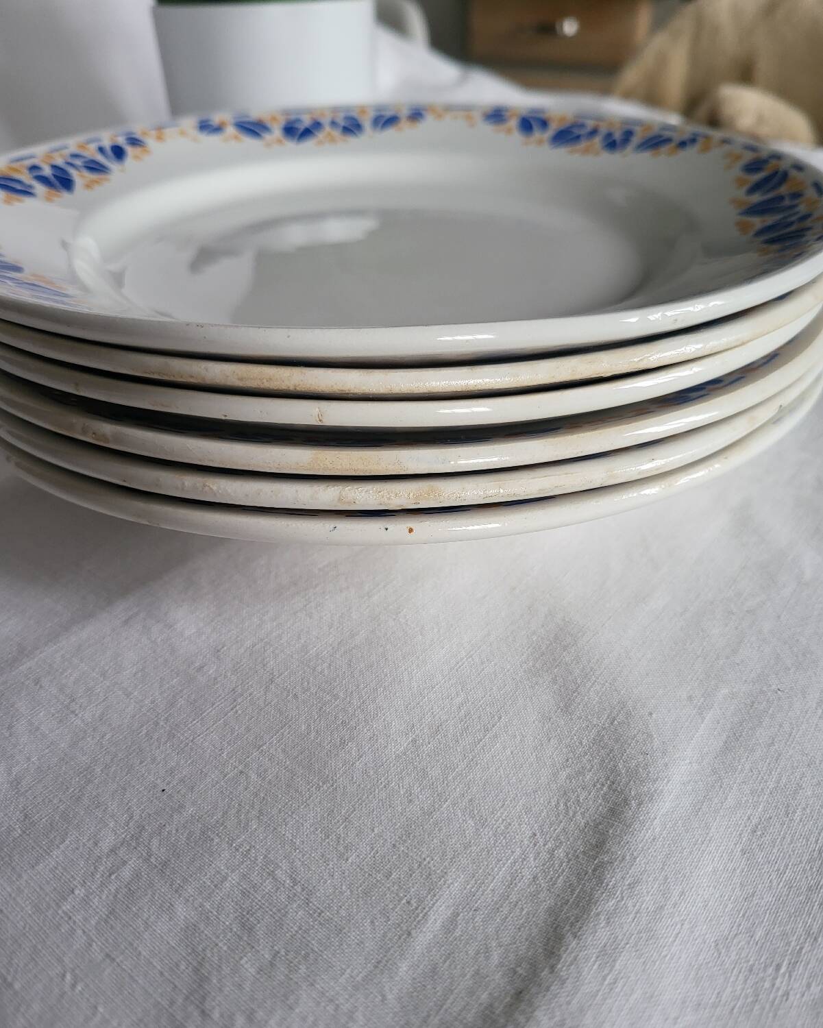 Set of 6 HBCM France Colette Dinner Plates