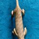6 crocodile-shaped brass knife holders