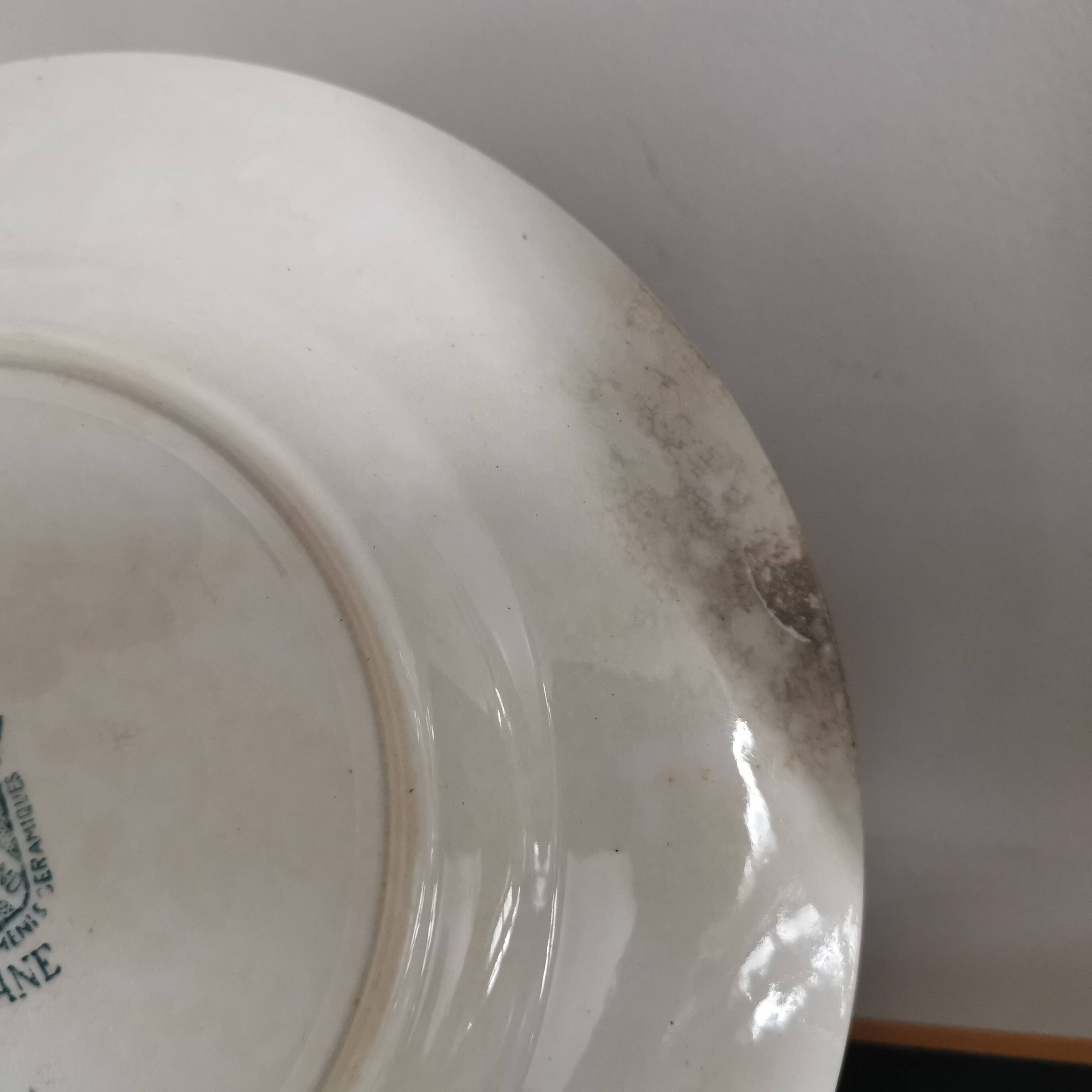 7 Jane model flat plates with dark green floral decoration Saint-Amand