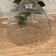 Set of 5 engraved glasses