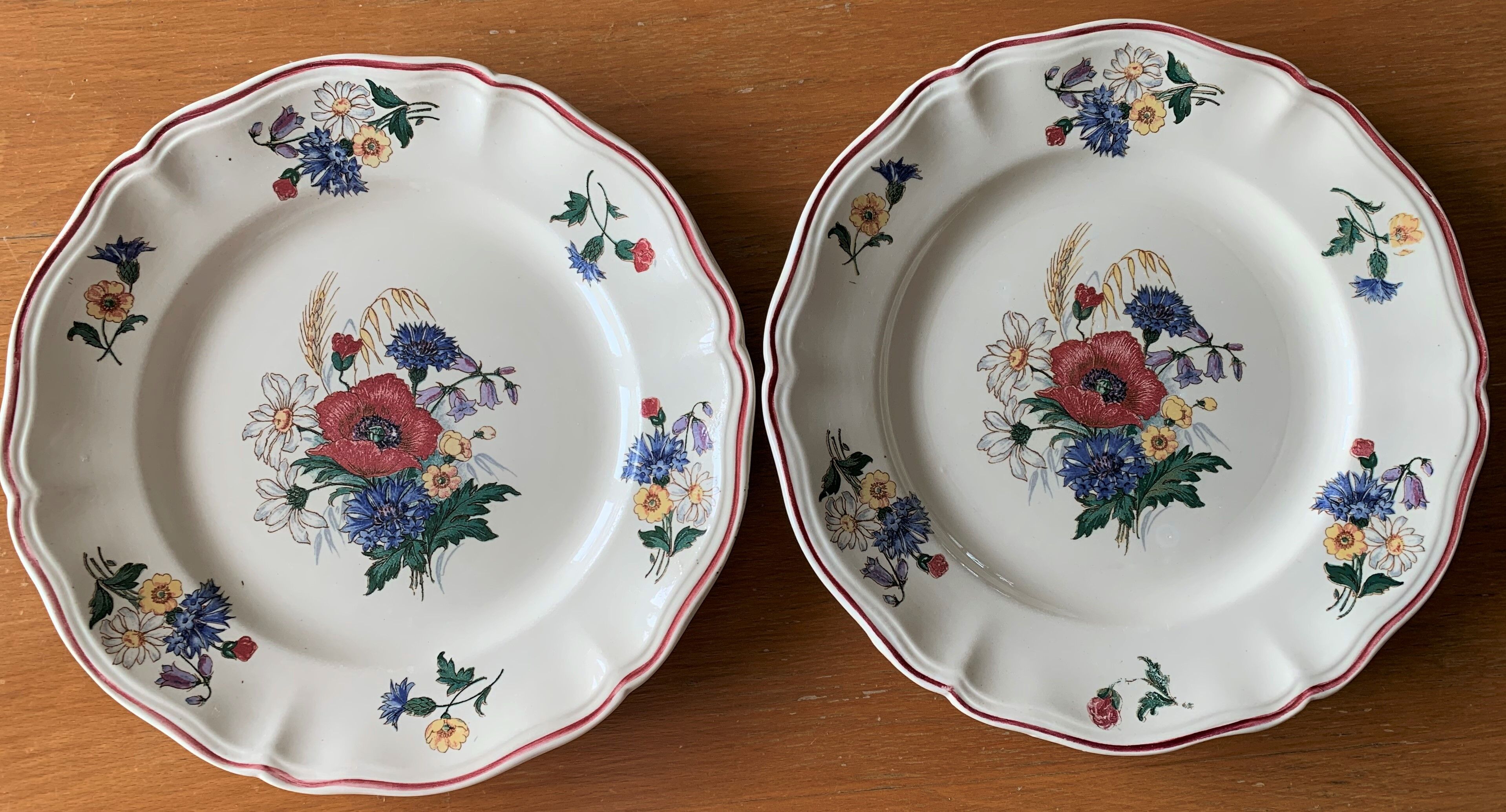 8 old plates in earthenware from Sarreguemines
